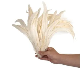 pioro-koguta-wymiar-ok-30-cm-biale