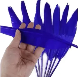 niebieskie-dlugie-pioro-gesie-30-35-cm