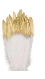 piora-gesie-jaropap-ze-zlota-lub-srebrna-koncowka