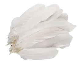 duze-piora-gesie-15-20-cm-jaropap