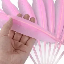 jasno-rozowe-dlugie-pioro-gesie-30-35-cm