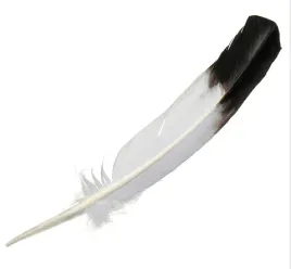 dlugie-piorko-gesie-biale-z-czarna-koncowka-24-30-cm