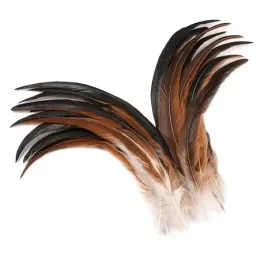 pioro-koguta-wymiar-30-35-cm-odcienie-brazu