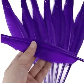 fioletowe-dlugie-pioro-gesie-30-35-cm