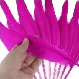 rozowe-dlugie-pioro-gesie-30-35-cm