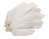 piora-gesie-ok-20szt