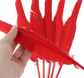 czerwone-dlugie-pioro-gesie-30-35-cm