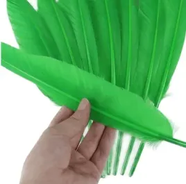 seledynowe-dlugie-pioro-gesie-30-35-cm