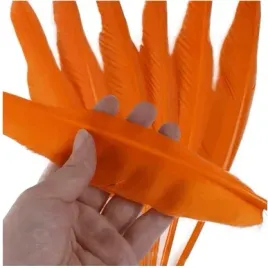 pomaranczowe-dlugie-pioro-gesie-30-35-cm