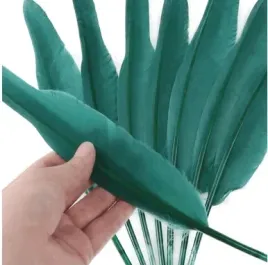 szmaragdowe-dlugie-pioro-gesie-30-35-cm