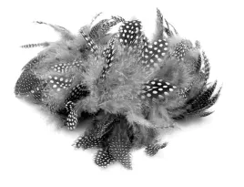 male-szare-piorka-perliczki-w-kropki-50-sztuk