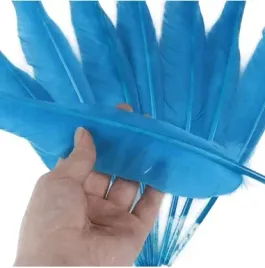 blekitne-dlugie-pioro-gesie-30-35-cm