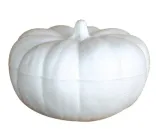 dynia-styropianowa-z-ogonkiem