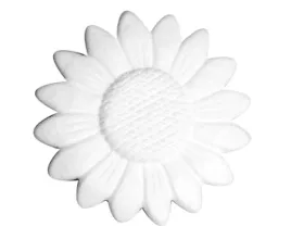 slonecznik-styropianowy