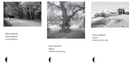 pakiet-3-x-puszcza-domowa-co-kryje-kampinos-hajstry-kiczery-robinski