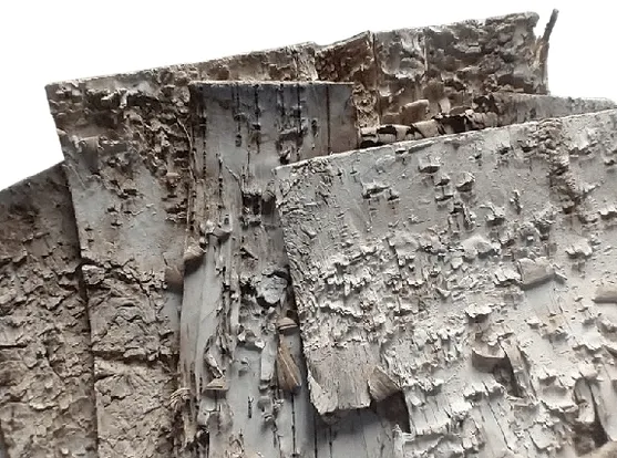 kora-brzozy-arkusz-30-x-30-cm