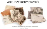 kora-brzozy-arkusz-30-x-30-cm-stan-nowy