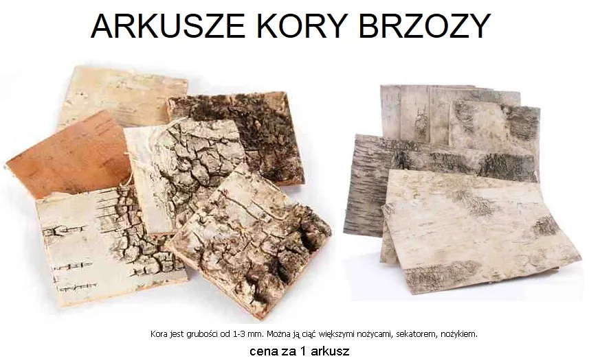 kora-brzozy-arkusz-30-x-30-cm