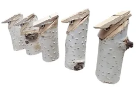 winietki-brzozowe-na-stol-z-bilecikami-kolki-brzozowe