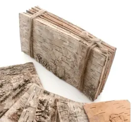kora-brzozy-arkusz-40-x-20-cm