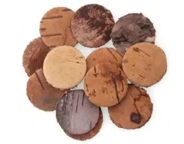 kolka-z-kory-brzozy-12-sztuk