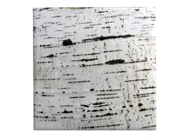 kora-brzozy-arkusz-15-x-15-cm