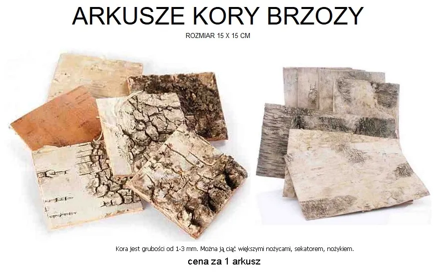 kora-brzozy-arkusz-15-x-15-cm