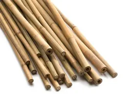 tyczki-bambusowe-90-cm-5-sztuk