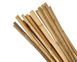 tyczki-bambusowe-60-cm-10-sztuk