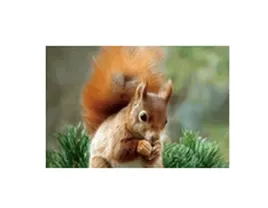 magnesy-trojwymiarowe-3d-wybor-wzorow