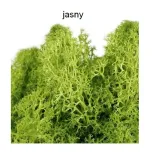 mech-dekoracyjny-100-gram-stan-nowy