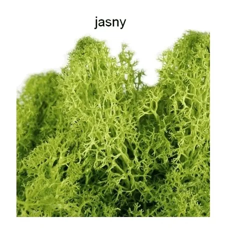 mech-dekoracyjny-100-gram