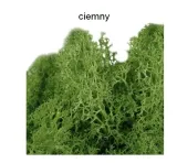 mech-dekoracyjny-100-gram-wysokosc-produktu-12-cm