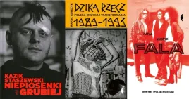 pakiet-3x-niepiosenki-grubiej-dzika-rzecz-polska-muzyka-fala-rok-1984