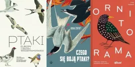 pakiet-3x-ptaki-europy-czego-boja-sie-ptaki-ornitorama-zbyryt