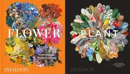 pakiet-2-x-flower-plant-exploring-the-world-in-bloom-the-botanical-world