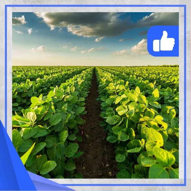 segway-modul-4g-navimow-access-stan-nowy-zawiera-baterie-nie