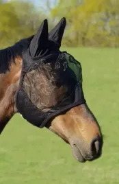 maska-przeciw-owadom-york-r-full