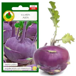 kalarepa-alka-srednio-pozna-fiolet-nasiona-bez-gmo
