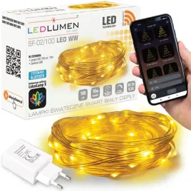 girlanda-lancuch-dekoracyjny-smart-10m-100led-pilot-aplikacja-pvc-ladowarka