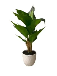 sztuczny-kwiatek-z-doniczka-30cm-kwiatki-kwiat-do-pokoju-biurko