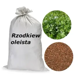 rzodkiew-oleista-material-paszowy-nasiona-10kg