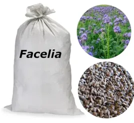 facelia-blekitna-paszowa-nasiona-5kg