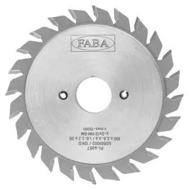frez-pilkowy-skladany-faba-pi-405t-100x28-36-20-z-2x12-gm-s0501002