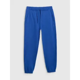 4f-spodnie-dresowe-joggery-meskie-cas-m1272-kobalt-rozmiar-xxl