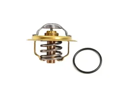 termostat-z-uszczelka-2-0-tdi-audi-seat-oe
