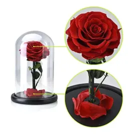 roza-w-szklanej-kopule-zakonserwowana-18cm-wieczna-roza-idealny-prezent
