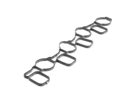 uszczelka-kolektora-ssacego-dolotowego-2-0-tdi-oe