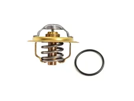 termostat-z-uszczelka-2-0-tdi-seat-exeo-audi-a4-a5-a6-q5-oe