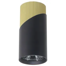 neo-black-gold-downlight-1xgu10